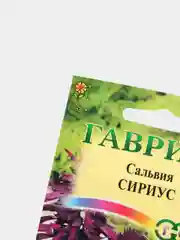 Семена Сальвия Сириус