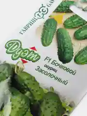 Огурец Дуэт "Бочковой F1 и Засолочный", семена