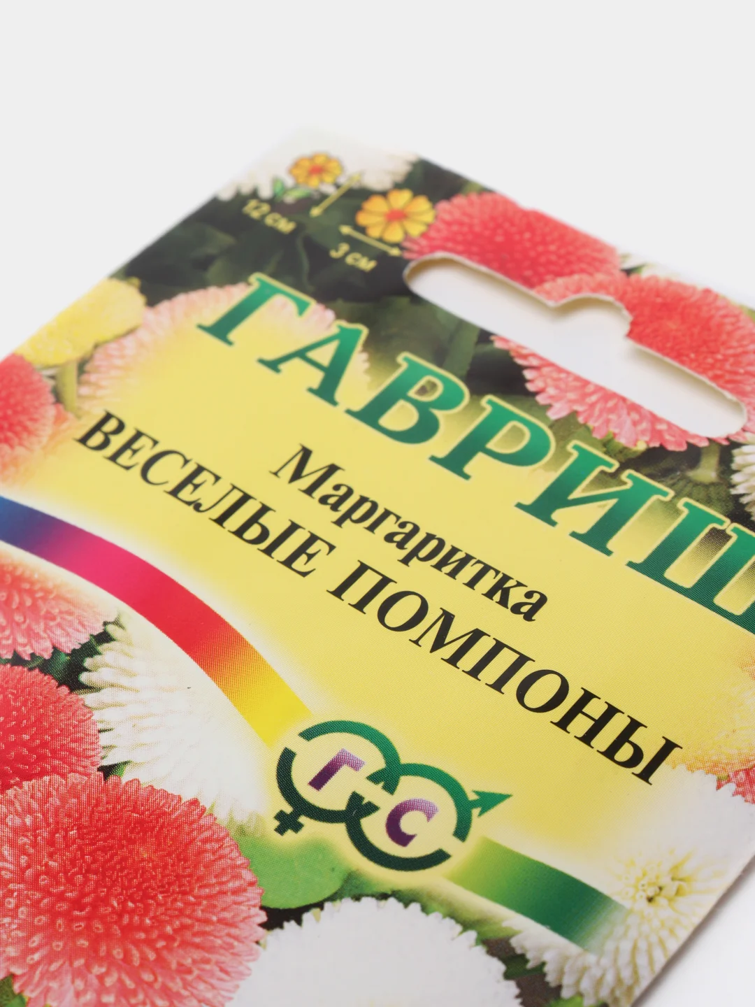 Маргаритки Семена Купить