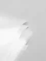 Мешки кондитерские одноразовые