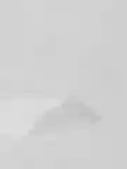 Мешки кондитерские одноразовые