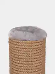 Серый когтеточка с лежанкой