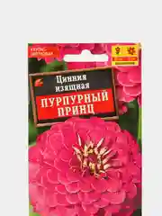 Семена Цинния изящная "Пурпурный принц"