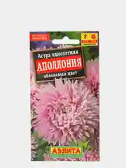 Семена Астра "Аполлония. Яблочный цвет"