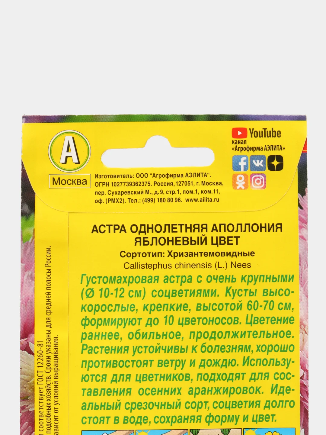 Семена Астра "Аполлония. Яблочный цвет"