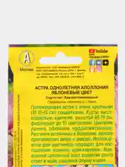 Семена Астра "Аполлония. Яблочный цвет"