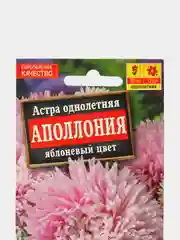Семена Астра "Аполлония. Яблочный цвет"