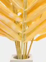 Желтый папоротник