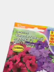 Петуния Фиолетовый поток (семена,цветы)