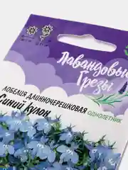Семена,Лобелия Синий Кулон