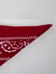 Бордовый бандана