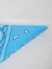 Голубой бандана