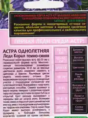 Астра "Леди Корал" темно-синяя, семена