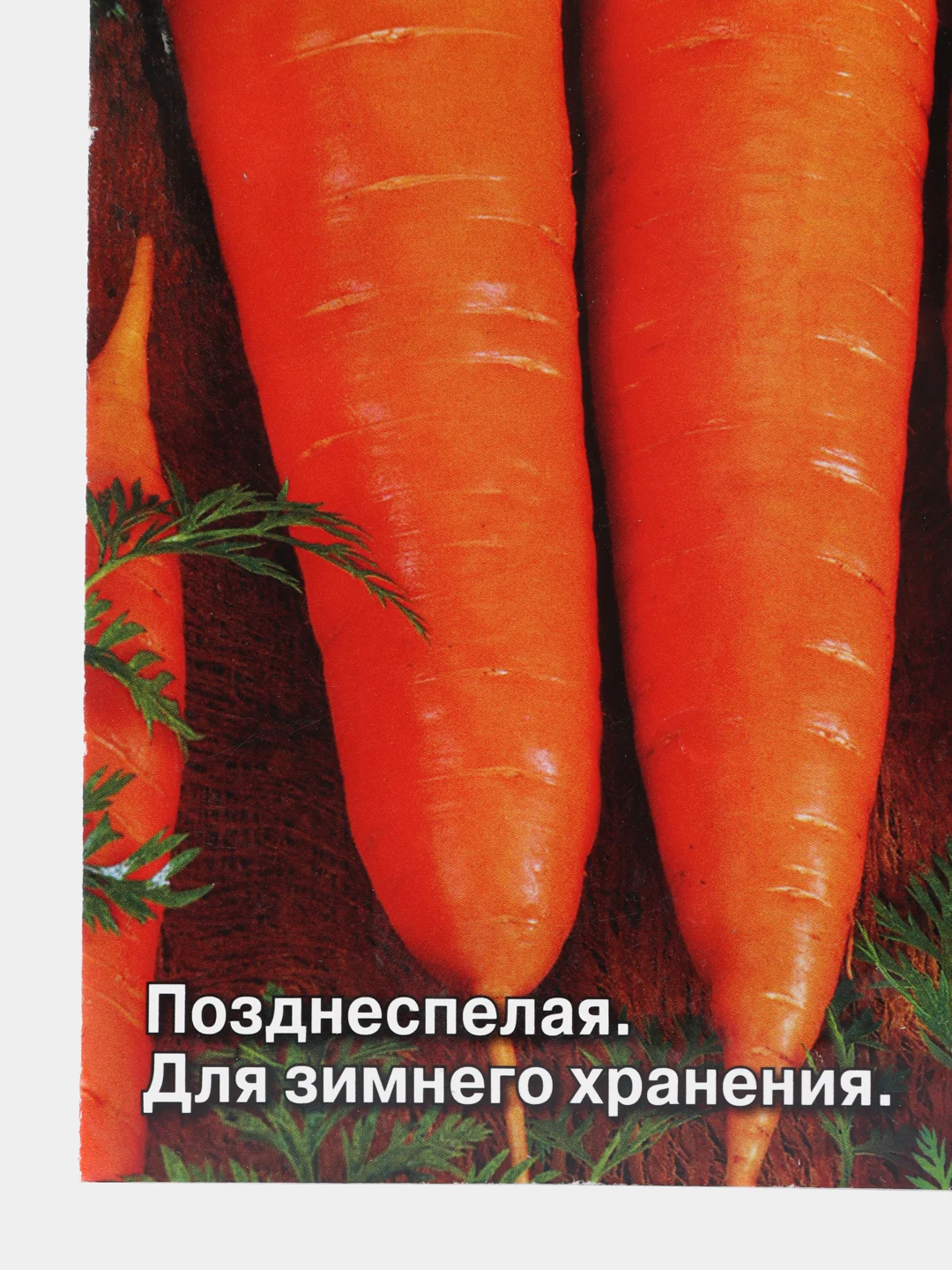 Семена Морковь "Перфекция"