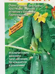 Семена Огурец "Внучок F1"