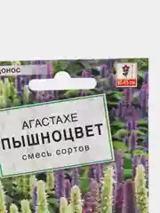 Семена цветы "Агастахе пышноцвет"