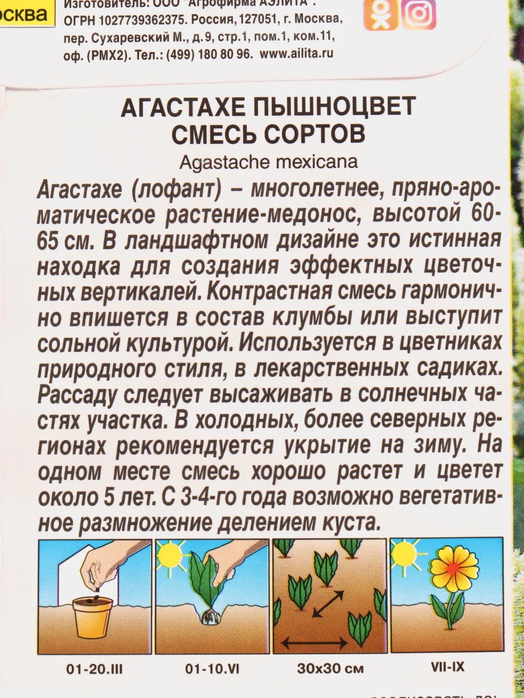 Семена цветы "Агастахе пышноцвет"