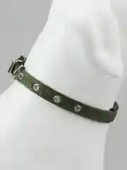 Зеленый ошейник с подкладкой для средних и крупных собак
