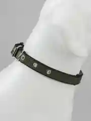 Зелёный хаки ошейник с подкладкой для средних и крупных собак