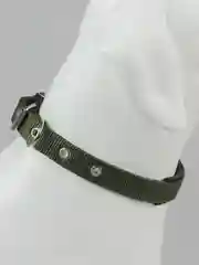 Зеленый ошейник с подкладкой для средних и крупных собак