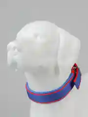 Голубой ошейник с подкладкой для средних и крупных собак