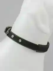 Тёмно-зелёный ошейник с подкладкой для средних и крупных собак