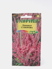 Лимониум Суворова (семена,цветы)