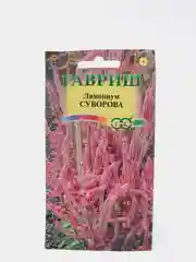 Лимониум Суворова (семена,цветы)