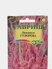 Лимониум Суворова (семена,цветы)