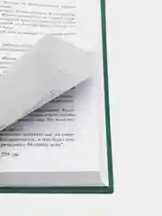 Финансист, Теодор Драйзер