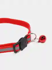Красный ошейник для кошек со светоотражающей полосой ширина 10мм