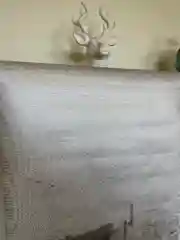 Обои