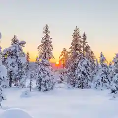 Изготовление объемной картины ЛеКо "Зимний лес", в технике папертоль