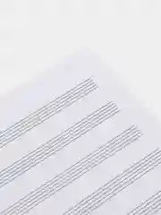 Желтый тетрадь для нот / нотная, 12 листов, А4 вертикальная, музыкальная школа