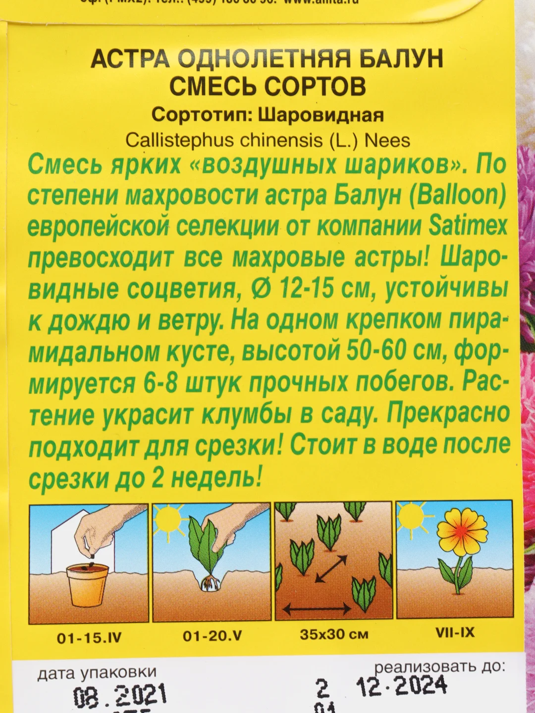 Семена цветы "Астра Балун смесь"