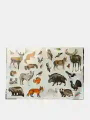 Карамельный книга с наклейками