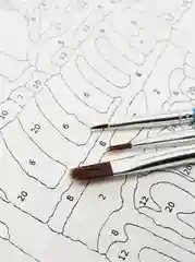 Картина  по номерам на холсте с подрамником 50x40 "Лесной пруд"