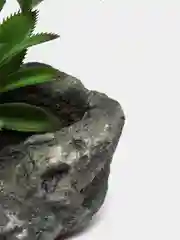 Черный цветы декоративные для интерьера