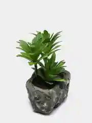 Черный цветы декоративные для интерьера