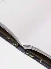 Botanical painting. Вдохновляющий курс рисования акварелью, Харриет де Винтон