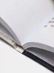 Котенок Звёздочка, или Двойной сюрприз (выпуск 22), Холли Вебб