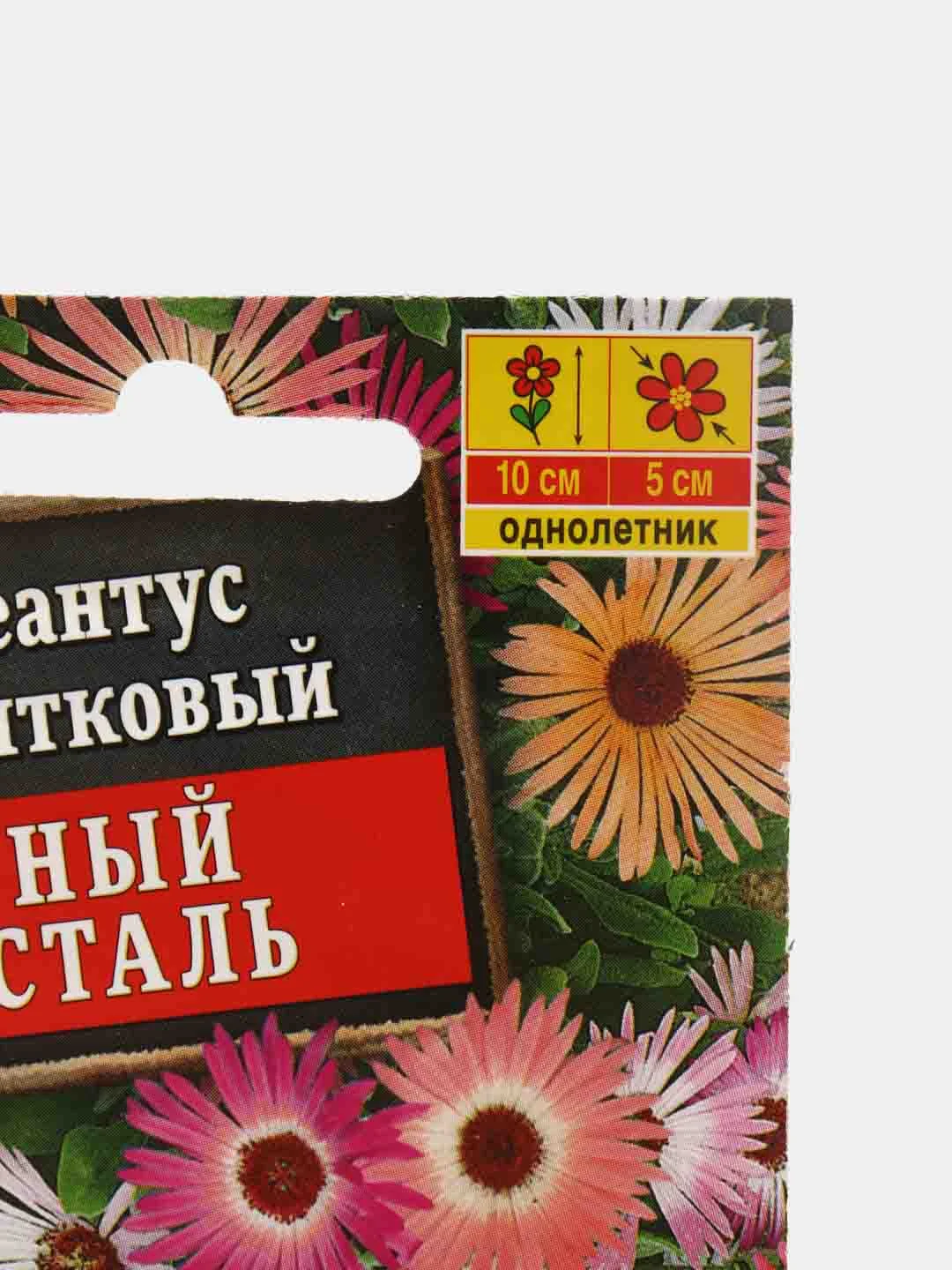 Семена цветы "Доротеантус Горный хрусталь"