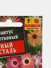Семена цветы "Доротеантус Горный хрусталь"