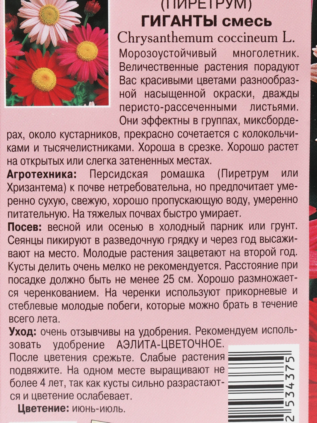Пиретрум Персидская ромашка Гиганты смесь (семена,цветы)