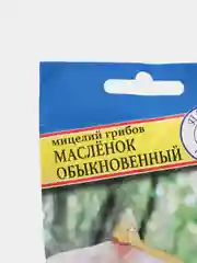 Семена мицелий грибов "Масленок"