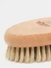 Щетка для сухого массажа из кактуса Тампико (большая)