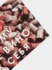 Инстаграм открытка/ Мини открытка с прикольной надписью "Возьму всё вино на себя"