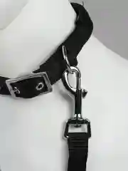 Черный ошейник для собак с мягкой вставкой и поводком в комплекте