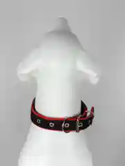 Багровый ошейник нейлоновый, для собак и кошек, с подкладкой, разные цвета