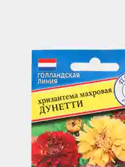 Хризантема махровая Дунетти (семена,цветы)